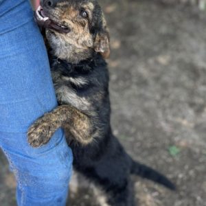 281619895_2198384680315073_8015637392155067851_n 281619895_2198384680315073_8015637392155067851_n