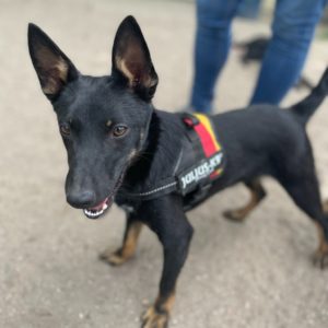 281711281_2198375816982626_5900929204263513700_n