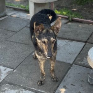 281714704_2198384750315066_4113472081167874388_n 281714704_2198384750315066_4113472081167874388_n