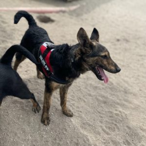 281737725_2198384966981711_2877020661286718186_n 281737725_2198384966981711_2877020661286718186_n