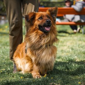 Bernhard24_0 Bernhard24_0