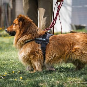 Bernhard25_0 Bernhard25_0