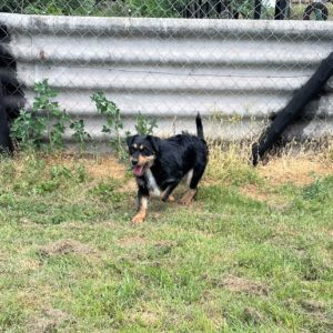 282651172_2211268992359975_8027309322465319520_n 282651172_2211268992359975_8027309322465319520_n