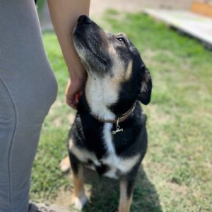 282787308_2211272249026316_8006953322064170787_n 282787308_2211272249026316_8006953322064170787_n