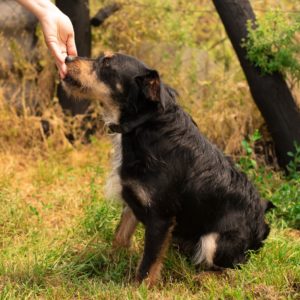 283796645_2211263482360526_2493663592331118014_n 283796645_2211263482360526_2493663592331118014_n