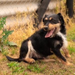 283906814_2211263462360528_7772895273664208965_n 283906814_2211263462360528_7772895273664208965_n