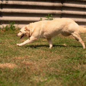 283993292_2210688455751362_4237148139886434277_n