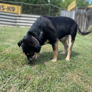 284285111_2211272309026310_7847293843729424826_n 284285111_2211272309026310_7847293843729424826_n