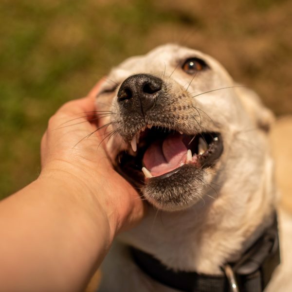 284379237_2210685669084974_3438642194656368836_n 284379237_2210685669084974_3438642194656368836_n