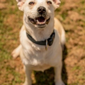 284680440_2210685479084993_4375176115329127283_n 284680440_2210685479084993_4375176115329127283_n