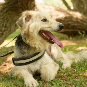 284707415_2217506078402933_7751131955351550134_n 284707415_2217506078402933_7751131955351550134_n