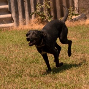 284849373_2217513081735566_1545891650386691197_n