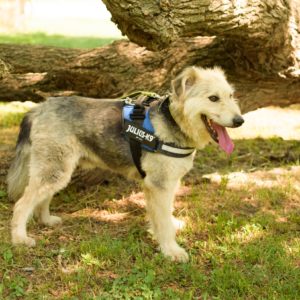 285000939_2217506088402932_4553327331658767921_n 285000939_2217506088402932_4553327331658767921_n