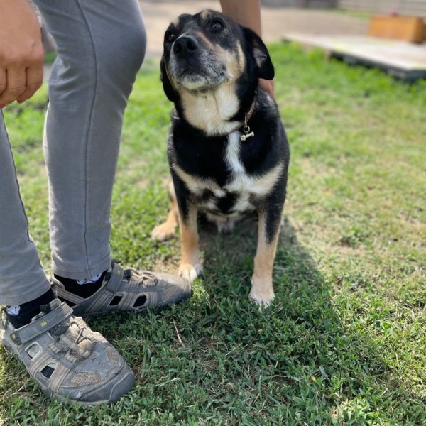 285144178_2211272302359644_7768349118899384299_n 285144178_2211272302359644_7768349118899384299_n