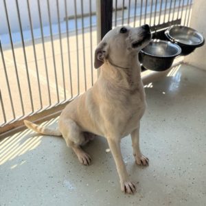 285231313_2210685952418279_7071964540660945554_n 285231313_2210685952418279_7071964540660945554_n