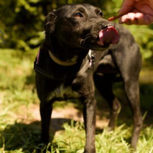 285745658_2217513278402213_8859657452563964965_n