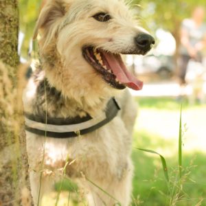 286257887_2217506048402936_5798229160726343334_n 286257887_2217506048402936_5798229160726343334_n