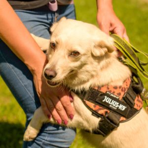 286416748_2220477741439100_2684475159961176160_n