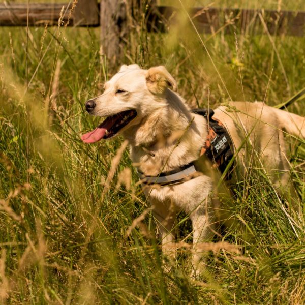 287255242_2220477841439090_8496339158870887806_n