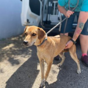 288654401_2917014465261211_6608529304088643812_n