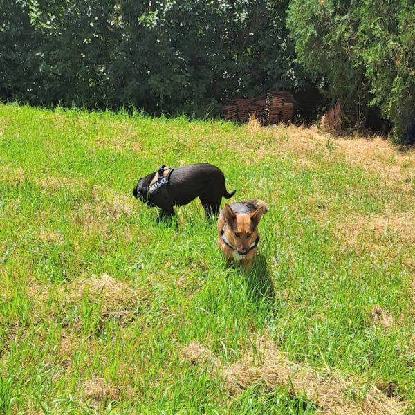 289393135_2225906070896267_4107951548085682692_n