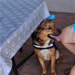 289428350_2225906200896254_1126216289679530667_n