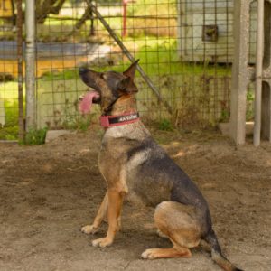 289080666_2225928734227334_9060666477755773703_n