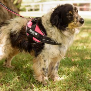 291393325_2239479299538944_7557520209789202181_n