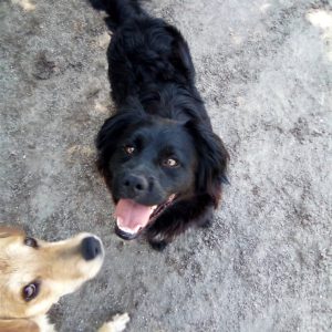 291856850_2239715729515301_2105421086312000743_n (1) 291856850_2239715729515301_2105421086312000743_n (1)