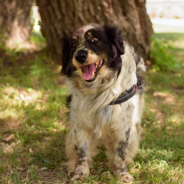 291937675_2239479119538962_1196742233114772531_n