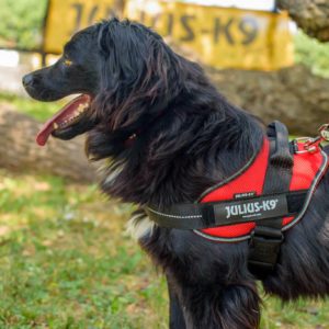 291946484_2239715582848649_8885412294512267268_n 291946484_2239715582848649_8885412294512267268_n