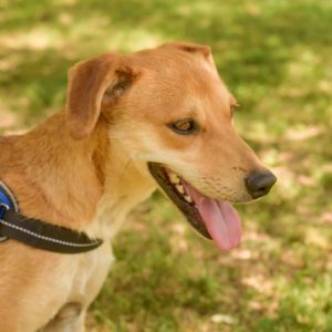 292018262_2240576709429203_286785402021195387_n