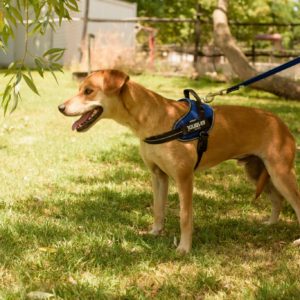 292092239_2240576742762533_4249910723311546638_n