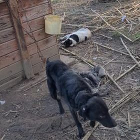 292129453_2243000872520120_258199085307793556_n