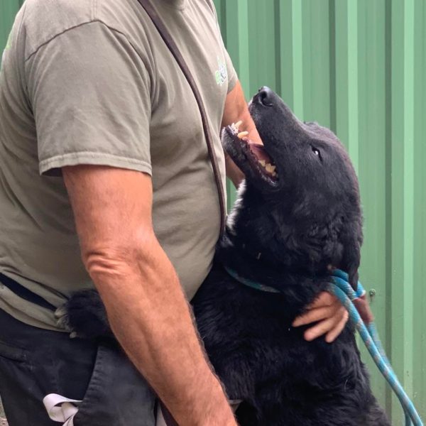 292139463_2243001202520087_2718144564544366589_n