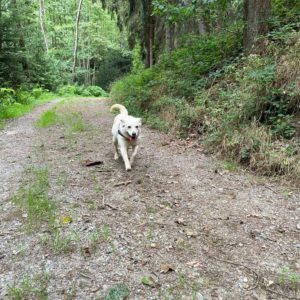 292148298_2242856235867917_6841804183221350019_n