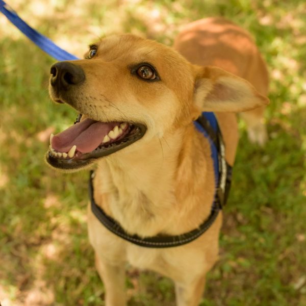 292201856_2240576696095871_6260663382567239393_n