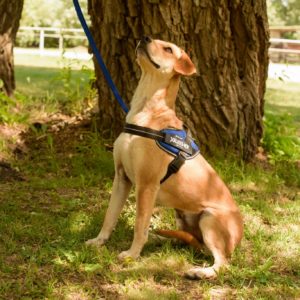 292235152_2240576732762534_1633322309427406896_n