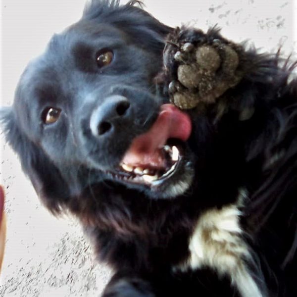 292267040_2239715686181972_381763819496950064_n 292267040_2239715686181972_381763819496950064_n