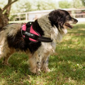 292276640_2239479406205600_7283900723189105360_n