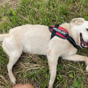 292296470_2242856362534571_5269667165510606829_n