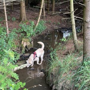 292503643_2242856252534582_5722312634247740569_n