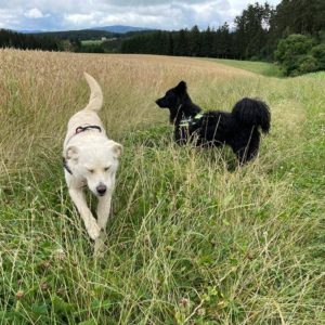 292529274_2242856349201239_6708080873154690525_n