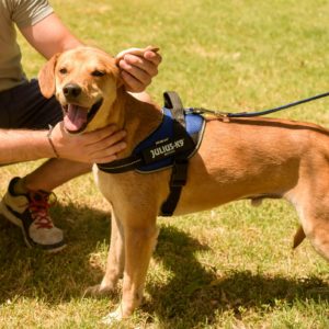 293117559_2240576939429180_3388096494628492459_n