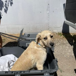 293602978_2244613419025532_250694371360010278_n