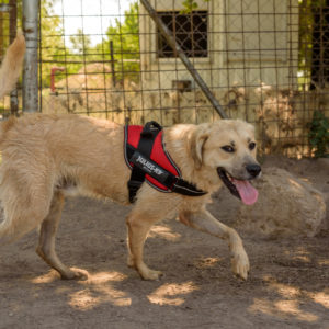 fotozas09_kesz_-108 fotozas09_kesz_-108