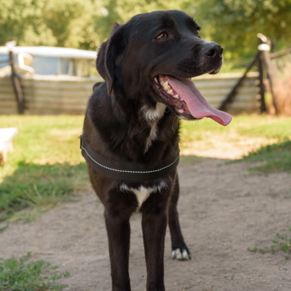 fotozas09_kesz_-22 fotozas09_kesz_-22