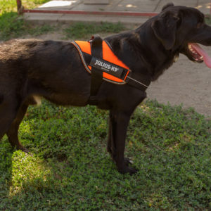 fotozas09_kesz_-26 fotozas09_kesz_-26