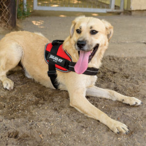 fotozas09_kesz_-30 fotozas09_kesz_-30