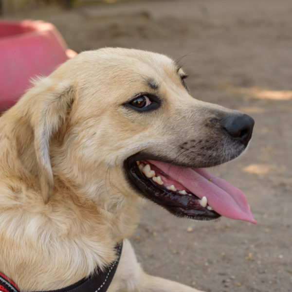 fotozas09_kesz_-46 fotozas09_kesz_-46